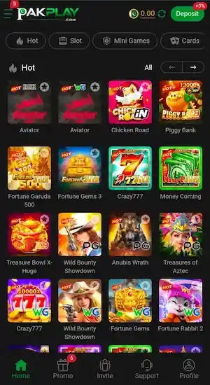 PakPlay