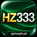 HZ333