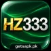 HZ333