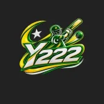 Y333 Game