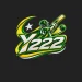 Y333 Game