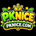 PKNICE